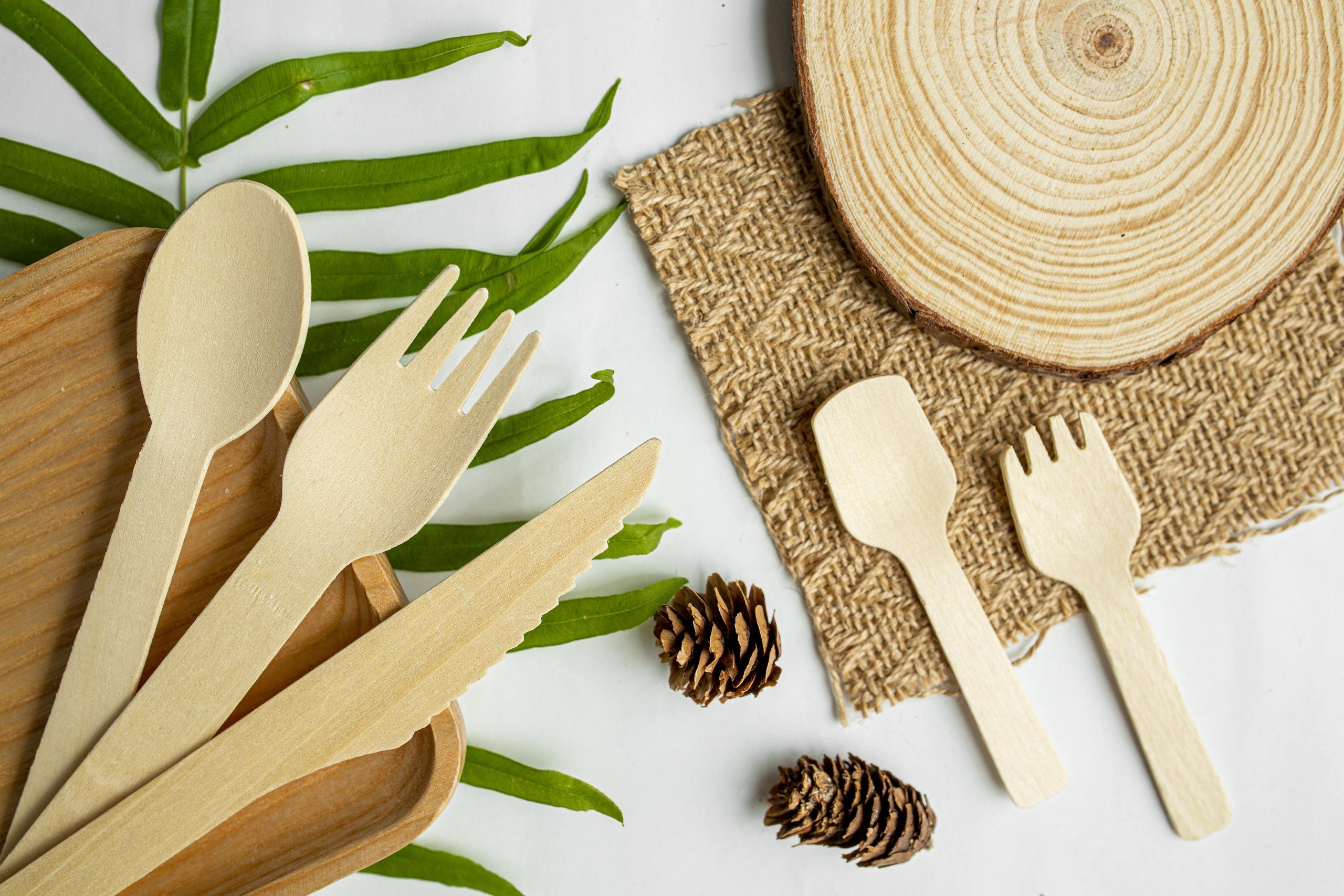 Thìa gỗ Hải Đăng (OCOP 3 sao)